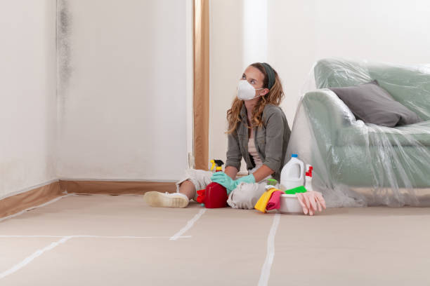 Trusted Commercial Mold Remediation service in Pequannock, NJ - WQB Mold Removal